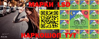 кокс Нальчик
